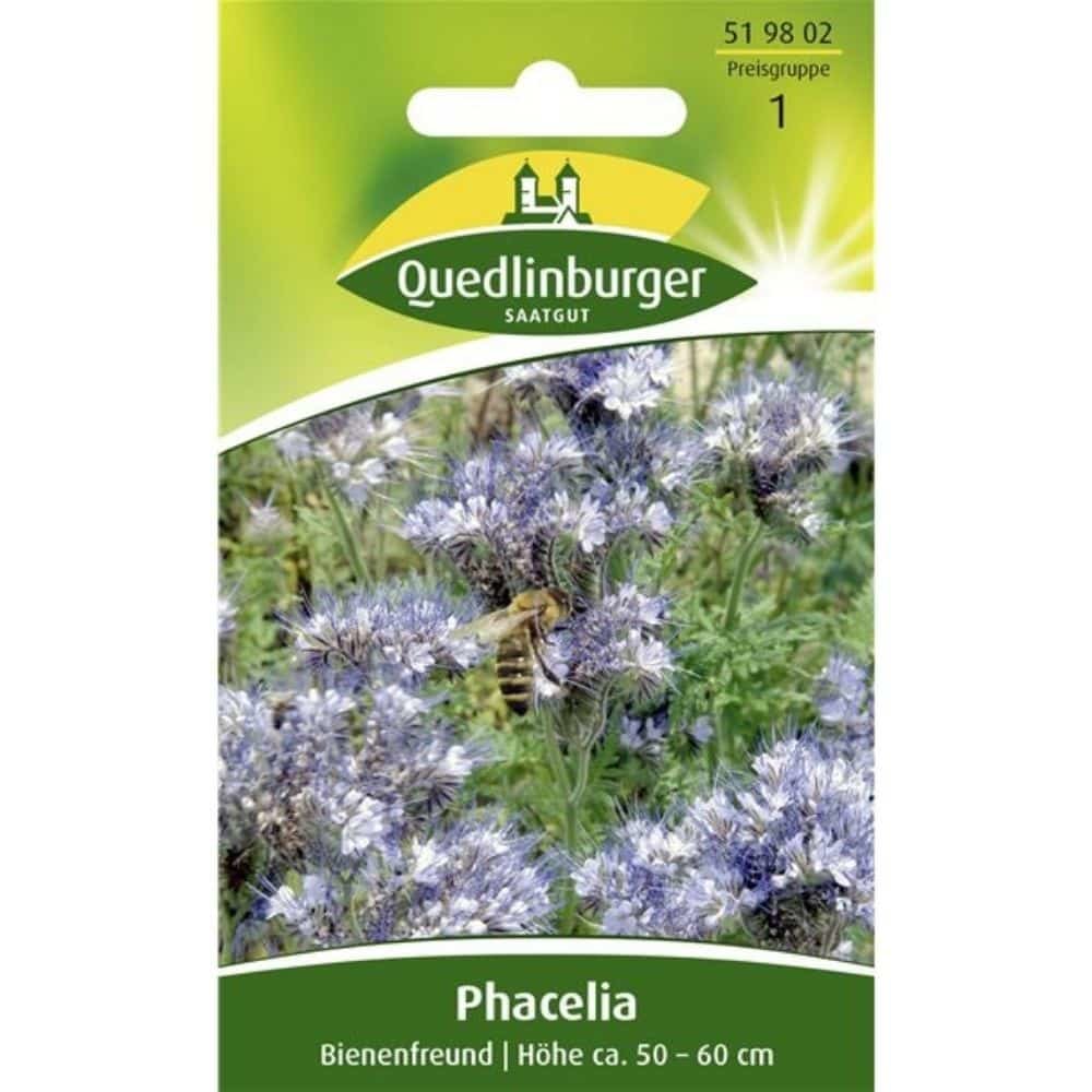 Phacelia, Bienenfreund