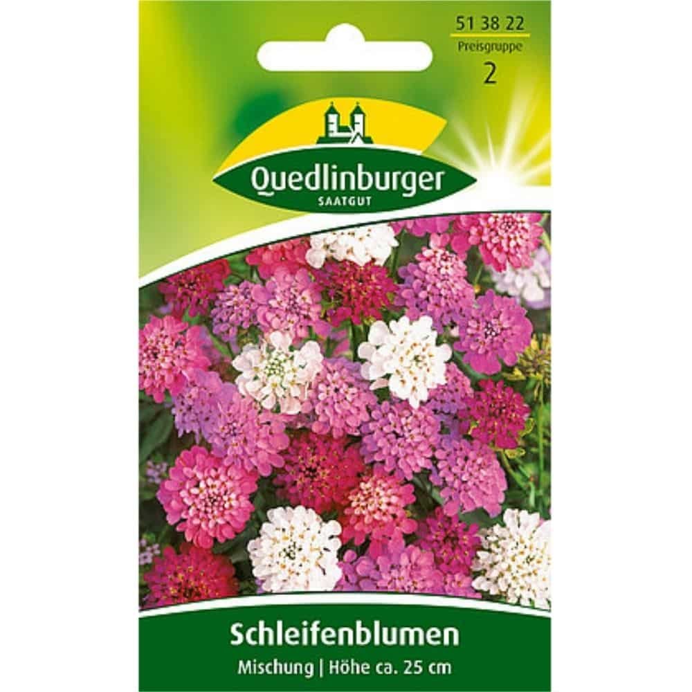 Schleifenblume, Mischung