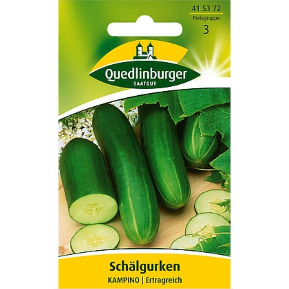 Schälgurke, Kampino