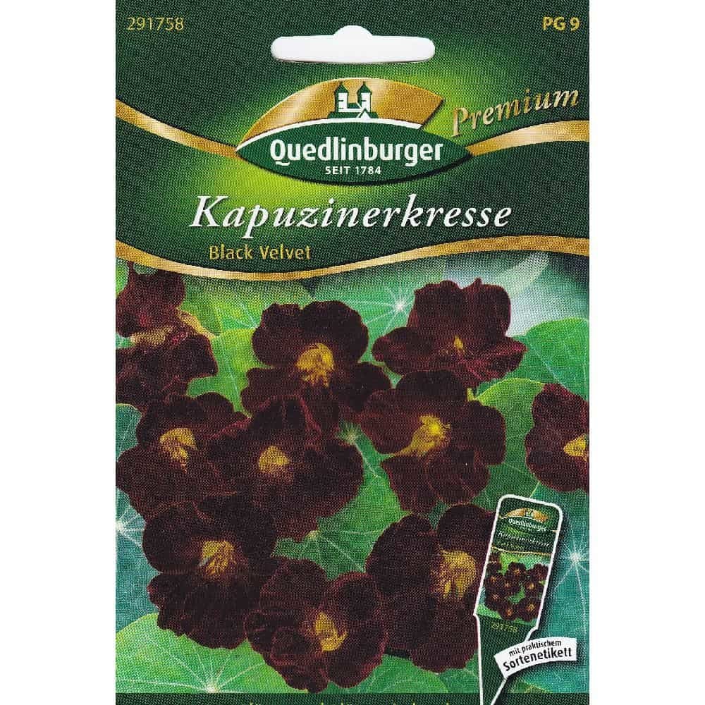 Kapuzinerkresse, Black Velvet