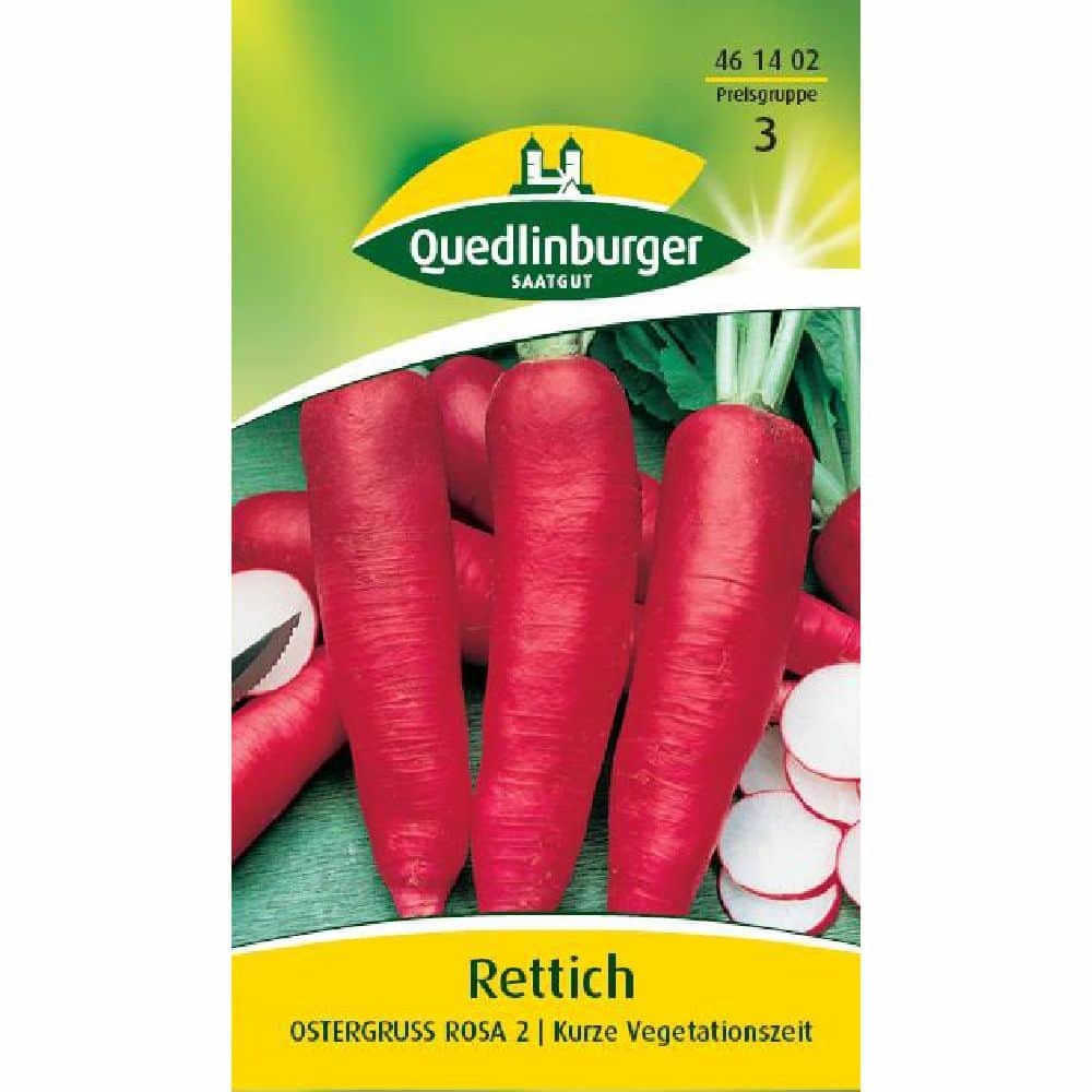 Rettich, Ostergruss rosa 2