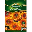 Ringelblume, Greenheart orange