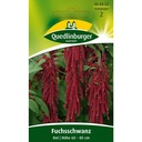 Fuchsschwanz, Rot