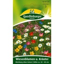 Wiesenblumen u. Kräuter, Mischung ohne Gräser