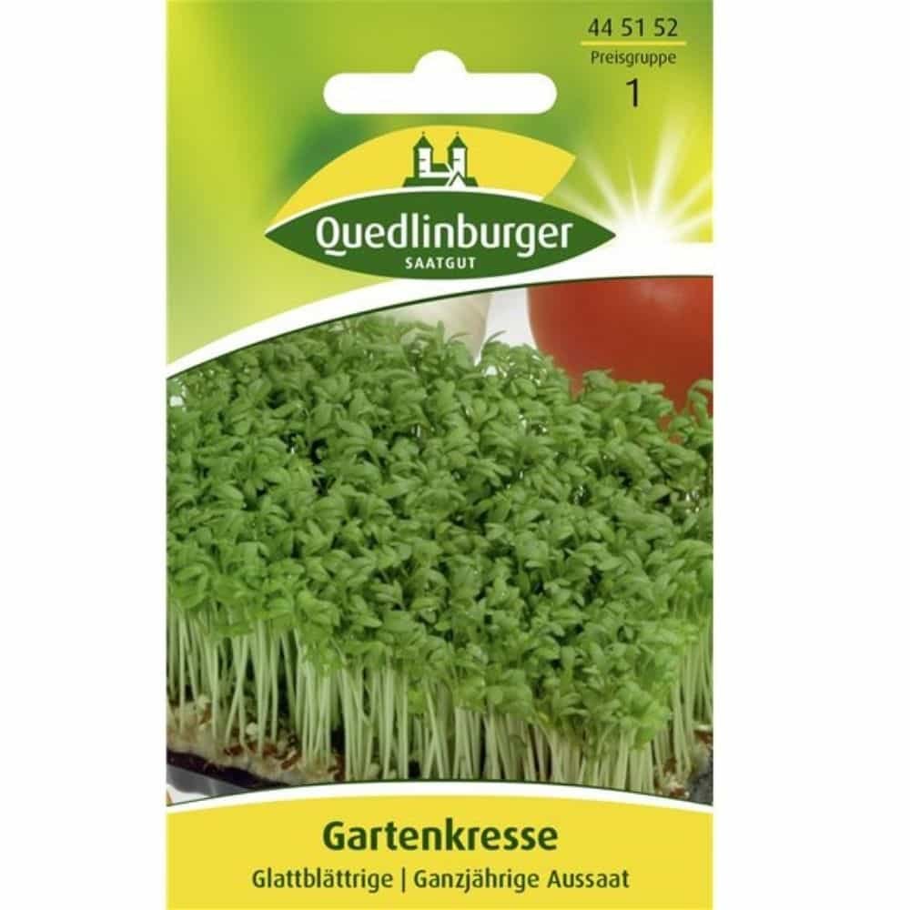 Gartenkresse, Glattblättrige