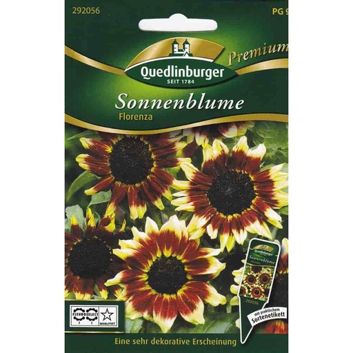 [BONI-292056] Sonnenblumen, Florenza