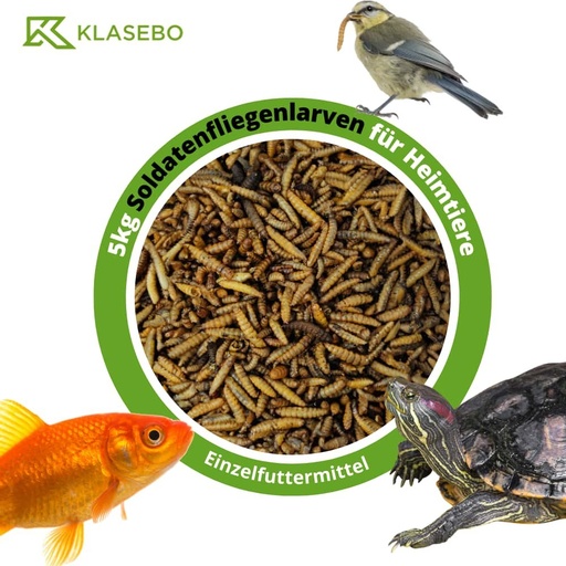 [BONI-42922] Soldatenfliegenlarven 5kg, ganze getrocknete Hermetia illucens